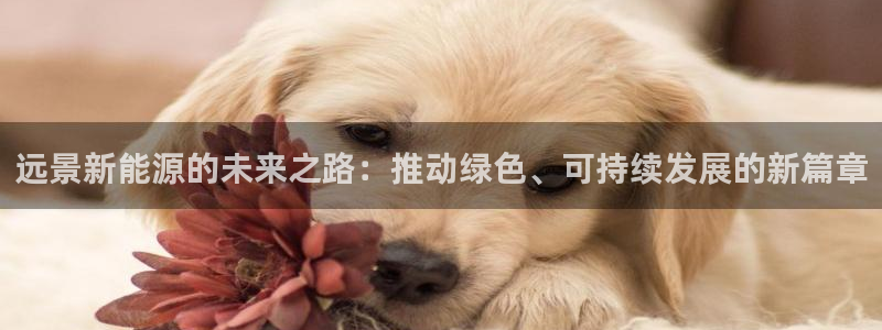 新宝gg平台开户