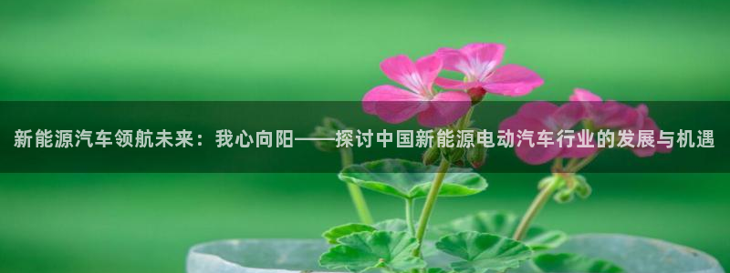 新宝GG勒55312