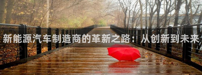 新宝GG厮78778：新能源汽车制造商的