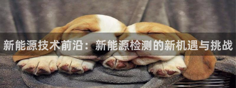 新宝gg软件下载：新能源技术前沿：新能源
