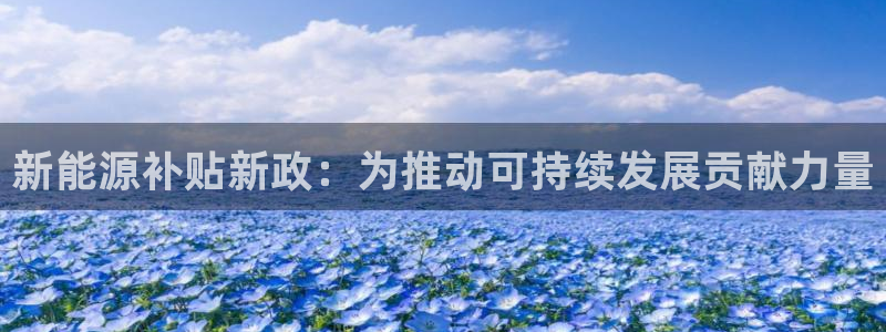 109新宝gg：新能源补贴新政：为推动可