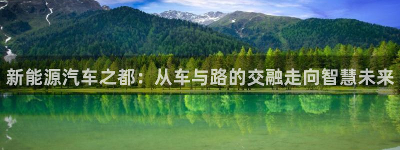 新宝gg重庆：新能源汽车之都：从车与路的