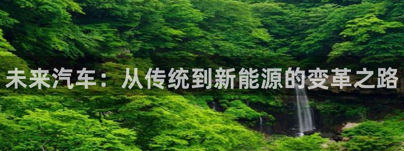 新宝 gg：未来汽车：从传统到新能源的变