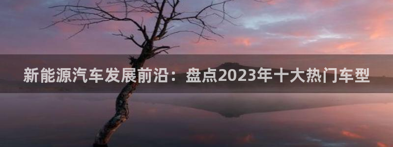 新宝gg主管：新能源汽车发展前沿：盘点2
