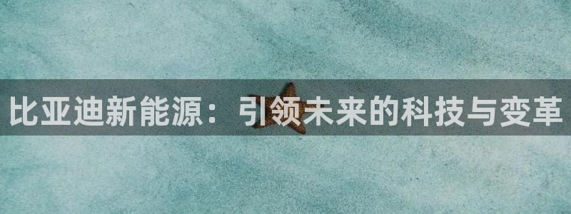 新宝gg创：比亚迪新能源：引领未来的科技