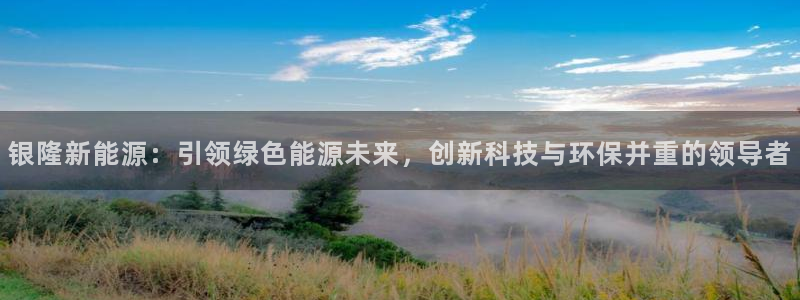 新宝gg网：银隆新能源：引领绿色能源未来
