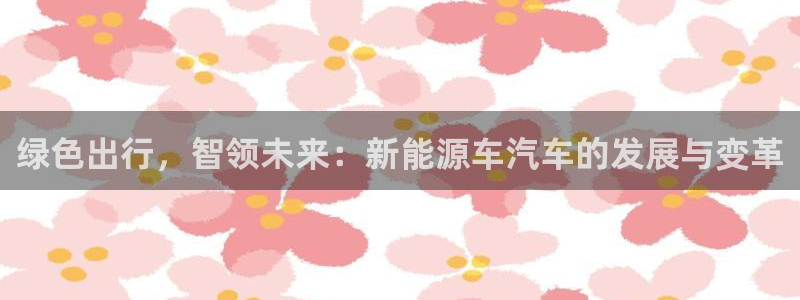 新宝gg-：绿色出行，智领未来：新能源车