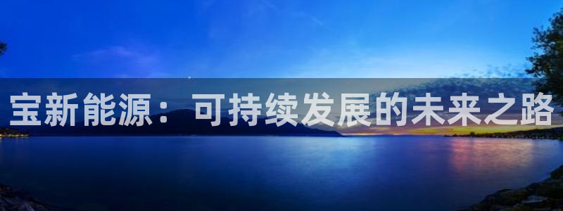 新宝gg介绍
