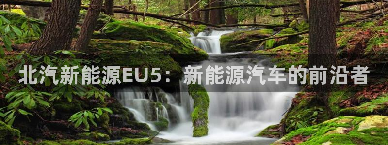 新宝gg官方：北汽新能源EU5：新能源汽