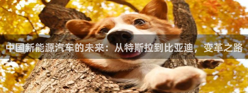 新宝GG绿色：中国新能源汽车的未来：从特