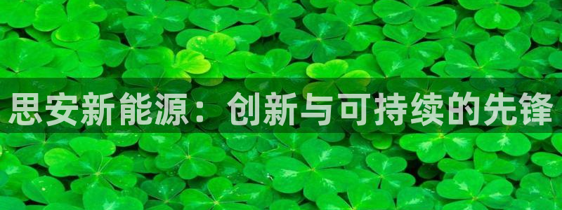 新宝gg重庆：思安新能源：创新与可持续的