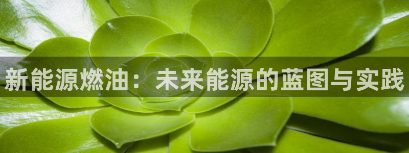 新宝gg主管