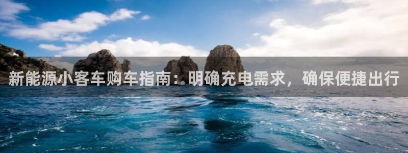 手机新宝gg：新能源小客车购车指南：明确