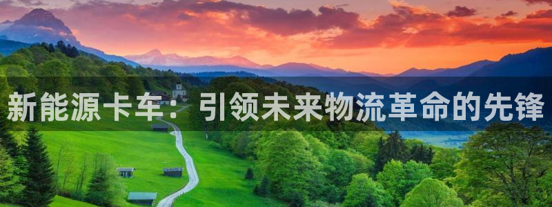 新宝gg反水：新能源卡车：引领未来物流革
