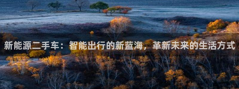 新宝gg重：新能源二手车：智能出行的新蓝