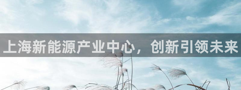 新宝gg娱乐1956：上海新能源产业中心