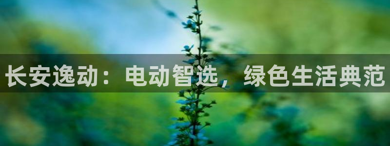 新宝gg招商