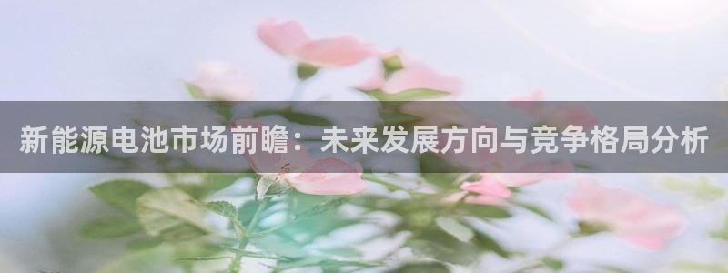 下载新宝gg怎么下载：新能源电池市场前瞻