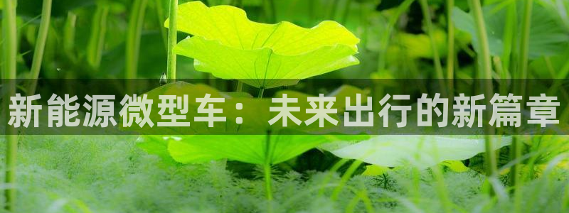 新宝+gg+登录:新能源微型车:未来出行的新篇章