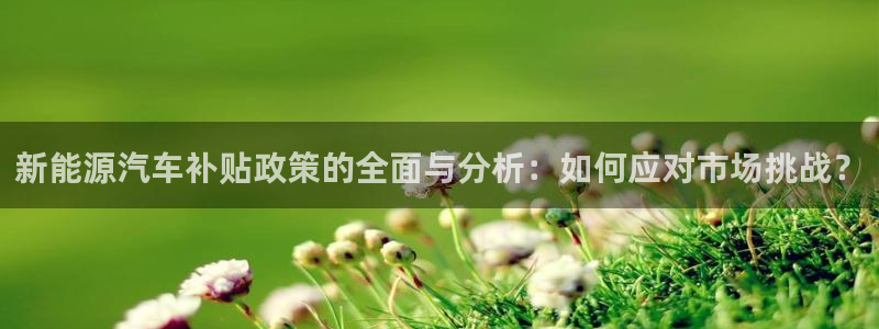 新宝GG电话
