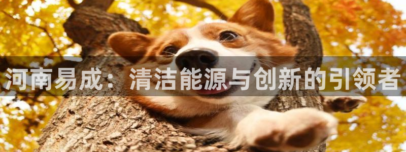 新宝gg团队:河南易成:清洁能源与创新的引领者