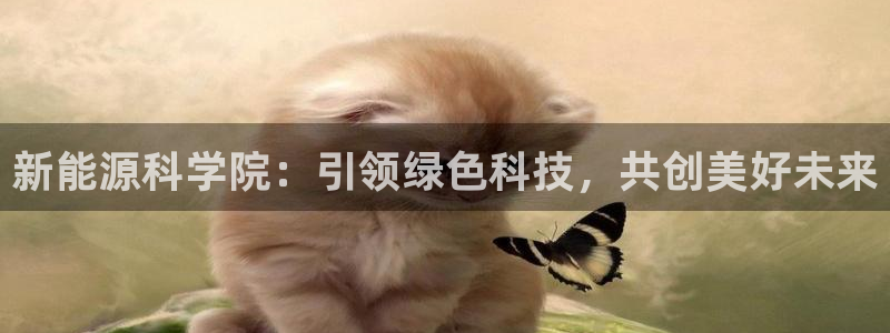 新宝gg客户登录：新能源科学院：引领绿色