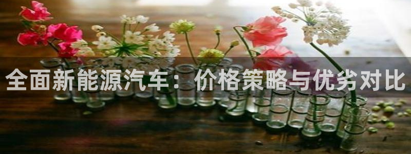 新宝GG跑路:全面新能源汽车:价格策略与优劣对比
