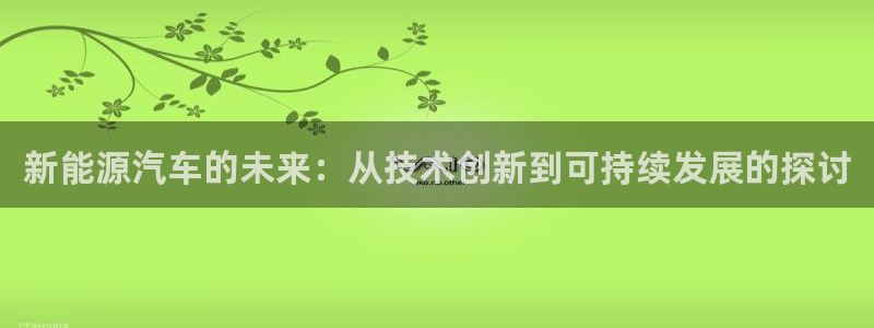 新宝GG网址新宝2:新能源汽车的未来:从技术创新到可持续发展