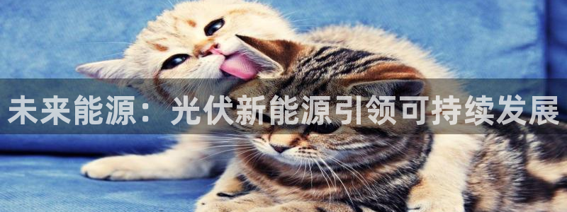 新宝gg画
