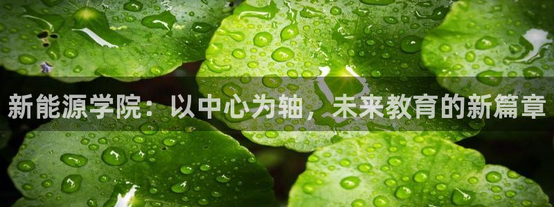 新宝gg-