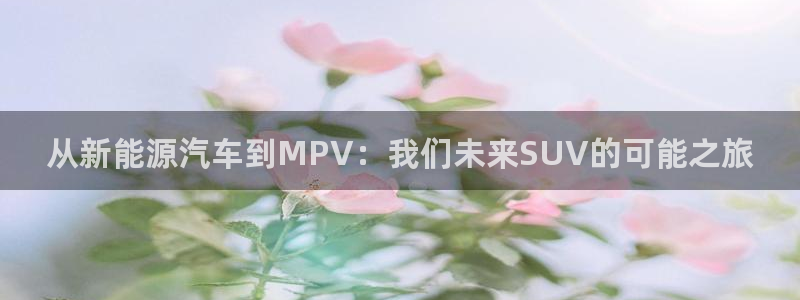 新宝gg主管baidu：从新能源汽车到M