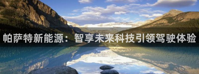 新宝gg论坛:帕萨特新能源:智享未来科技引领驾驶体验