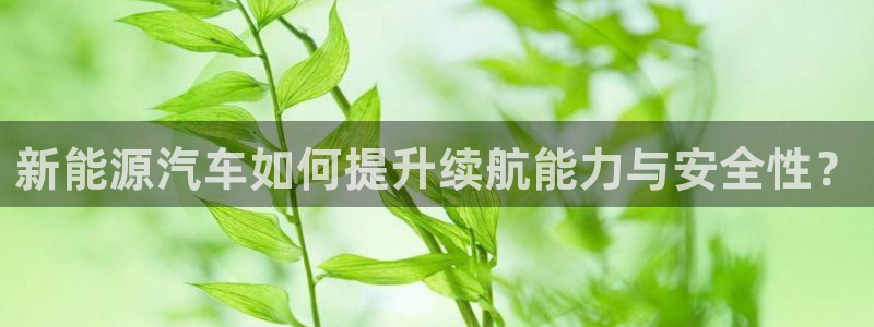 新宝gg怎么开户：新能源汽车如何提升续航
