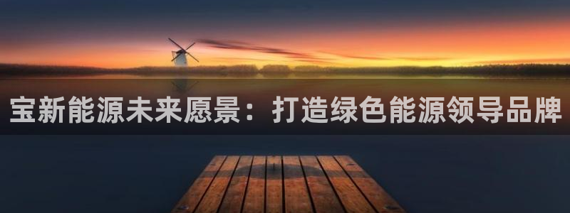 新宝GG手机客户端：宝新能源未来愿景：打