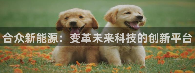 新宝GG反点：合众新能源：变革未来科技的
