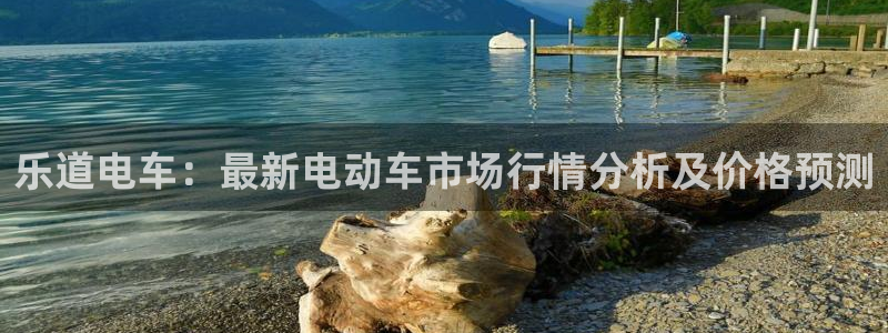 新宝哈哈gg：乐道电车：最新电动车市场行