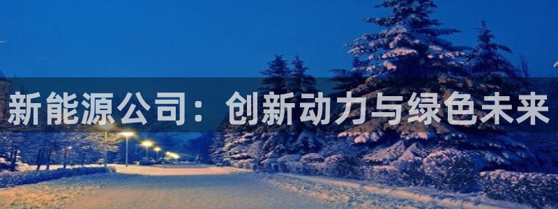 新宝g新宝gg：新能源公司：创新动力与绿
