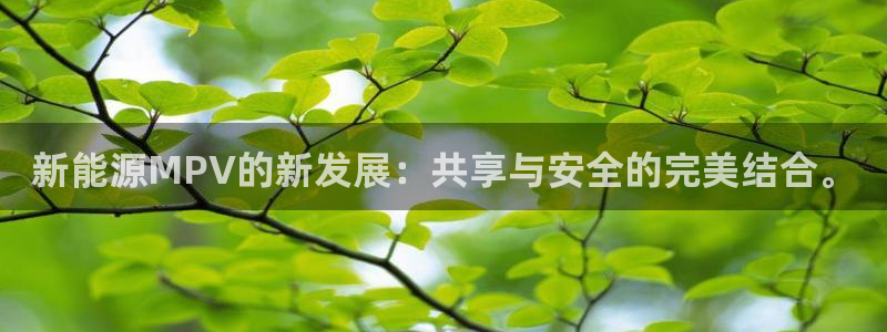 新宝gg--创：新能源MPV的新发展：共