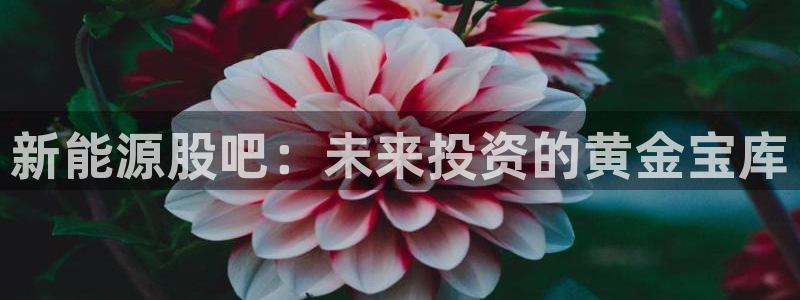 新宝gg-：新能源股吧：未来投资的黄金宝
