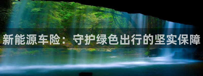 新宝gg平:新能源车险:守护绿色出行的坚实保障