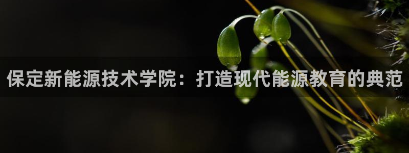 新gg宝:保定新能源技术学院:打造现代能源教育的典范
