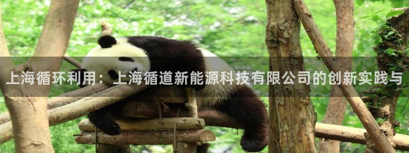 新宝娱乐gg:上海循环利用:上海循道新能源科技有限公司的创新