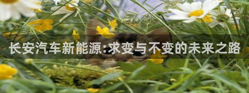 新宝gg反水:长安汽车新能源:求变与不变的未来之路