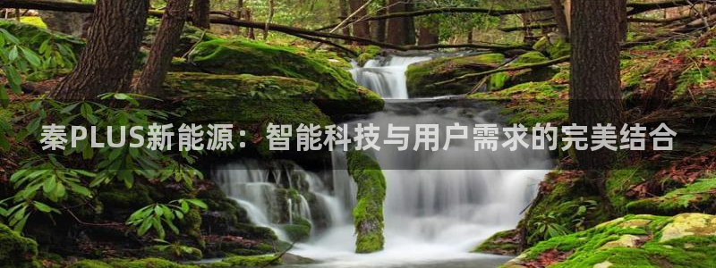 新宝gg申请账号:秦PLUS新能源:智能科技与用户需求的完美