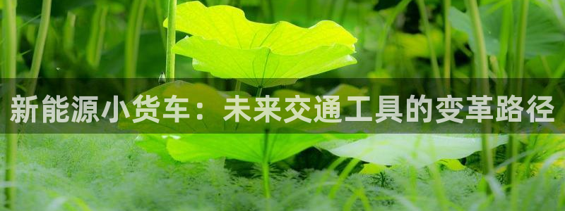 新宝GG正规78778:新能源小货车:未来交通工具的变革路径