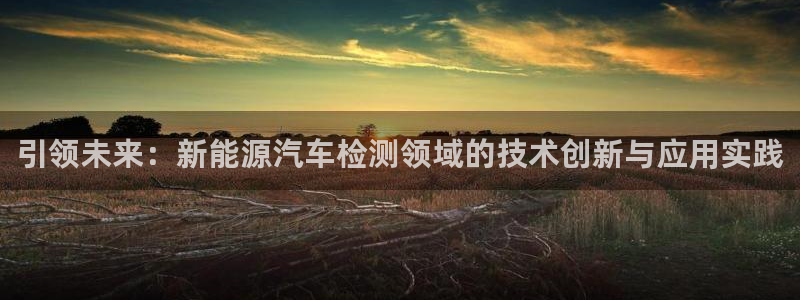 新宝gg专线:引领未来:新能源汽车检测领域的技术创新与应用实