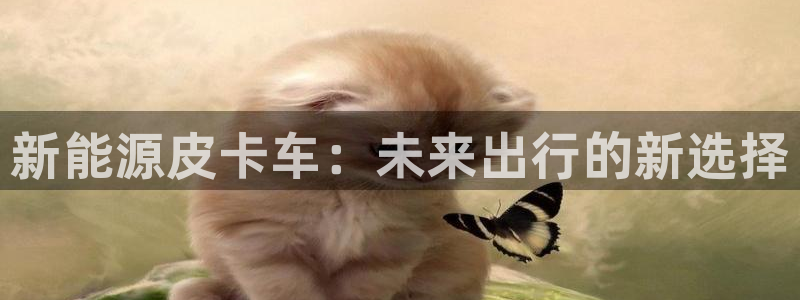 新宝gg娱乐注册:新能源皮卡车:未来出行的新选择