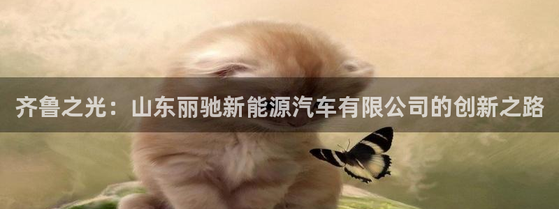 新宝gg域:齐鲁之光:山东丽驰新能源汽车有限公司的创新之路