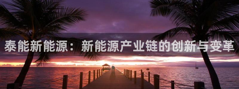 新宝gg注册新账号:泰能新能源:新能源产业链的创新与变革