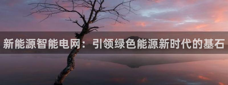 新宝gg什么:新能源智能电网:引领绿色能源新时代的基石